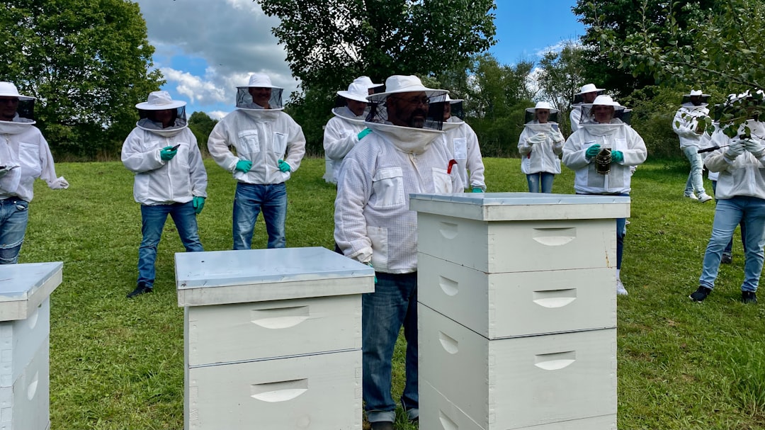 Best beginner beekeeping starter kits under $150 hero image
